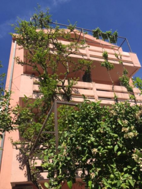 Apartments Krolo